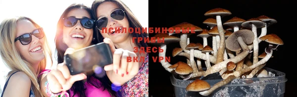 сатива Белоозёрский