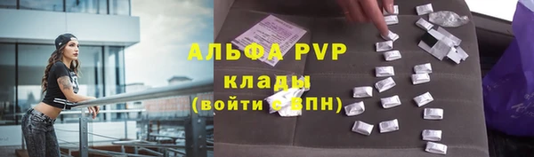 сатива Белоозёрский