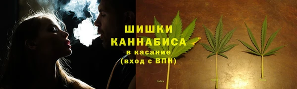 сатива Белоозёрский