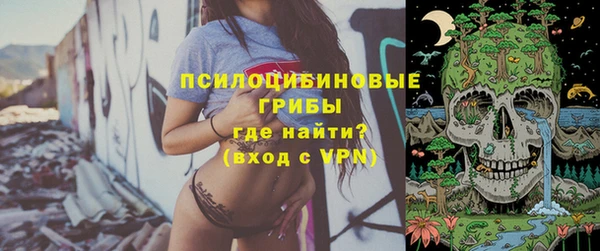 сатива Белоозёрский