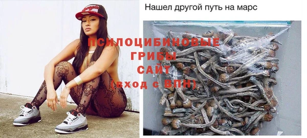 метадон Белокуриха