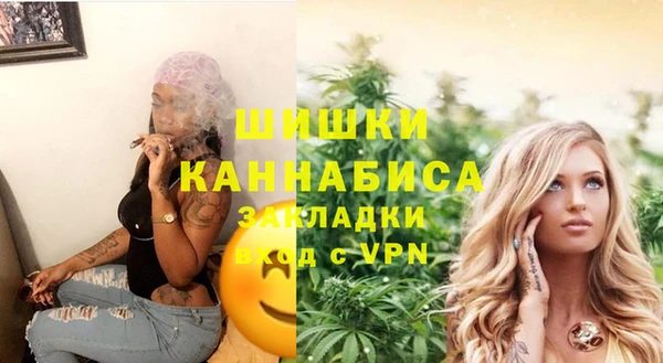 стаф Козловка