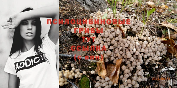 МДМА Беломорск
