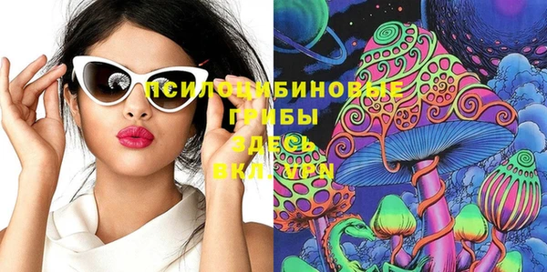 метадон Белокуриха