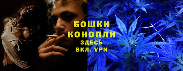 метадон Белокуриха