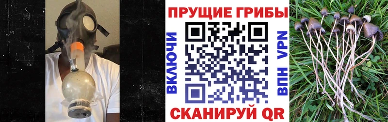 Галлюциногенные грибы мицелий  Куровское 